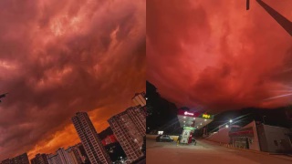 Image from: Lori Bawa Muatan Telur Terbalik, Penduduk ‘Borong' Sampai Licin