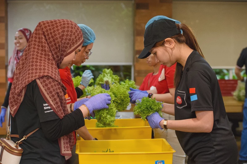 Image from: Sunway XFarms, Tune Protect Perkasa Pendidikan Kelestarian Melalui Projek Hidroponik Di Sekolah
