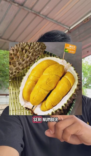 Image from: Lelaki Indonesia Dedah Sebab Durian Malaysia 'Ada Kelas' Berbanding Indonesia