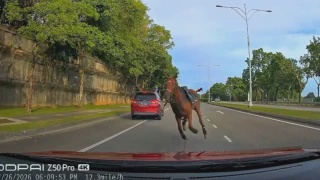 Image from: USM Diiktiraf Peneraju Ekosistem Semikonduktor Bumiputera