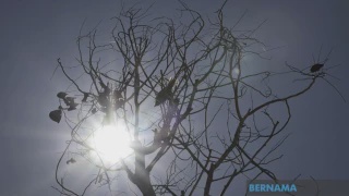 Image from: Amaran Ribut Petir, Hujan Lebat Di Tujuh Negeri Petang Ini