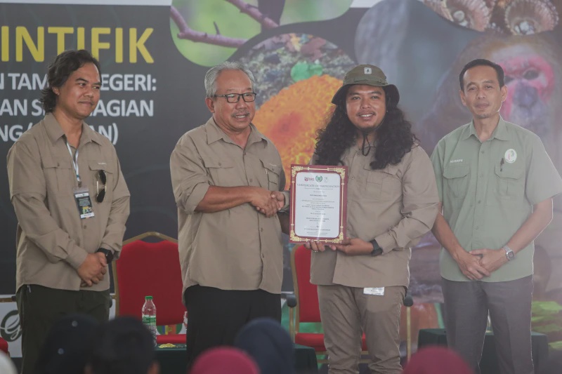 Image from: Cicak Tokay Hitam Ditemukan Di Perlis, Satu-Satunya Rekod Di Malaysia