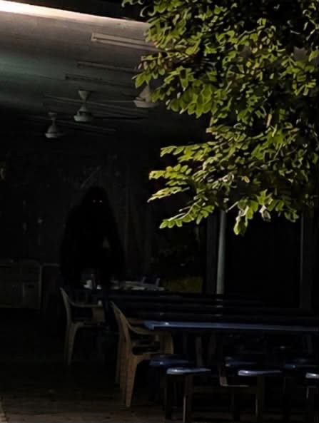 Image from: Niat Nak Hantar Gambar Pada Kawan, Individu 'Tersnap' Sosok Hitam - "Besar, tinggi weh"