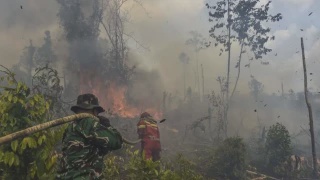 Image from: “Menarik Sekali,” Prabowo Arah Uji Serbuk Pemadam Kebakaran Berasaskan Tepung Ubi Kayu
