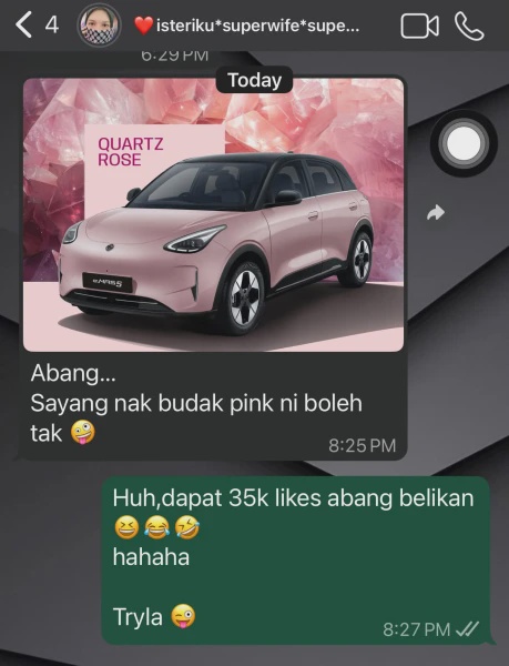 Image from: Isteri Menangis Terima Kejutan Hadiah Proton e.Mas 5 Dari Suami, Rupanya Netizen Jadi 'Big Supporter'