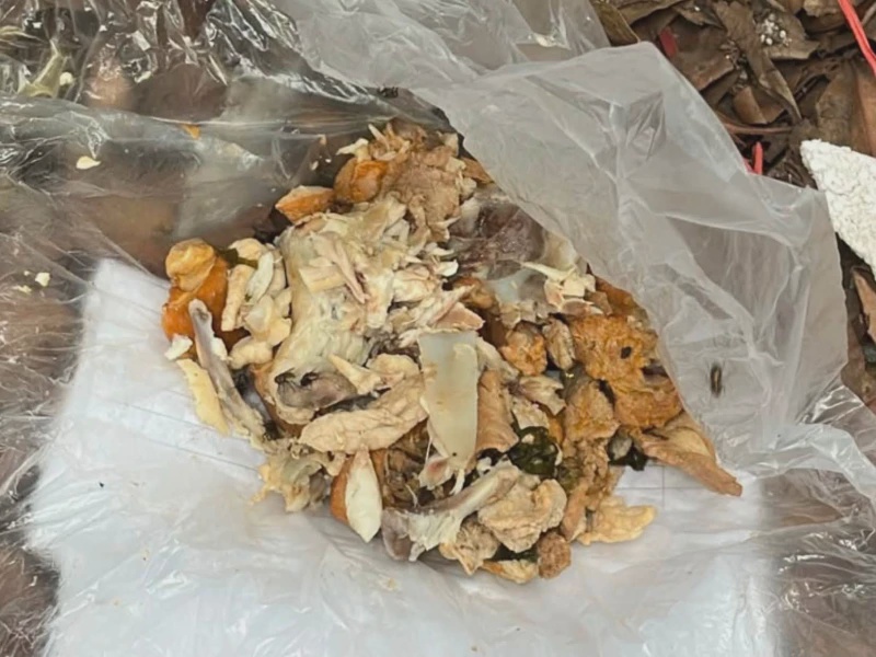 Image from: 50 Ekor Anjing Didakwa Mati Selepas Diracun, Ganjaran RM1,000 Ditawar Jejak Pelaku