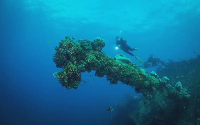 Image from: 10 Fakta Menarik Laut Halmahera Yang Ramai Tak Tahu