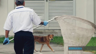 Image from: Kertas Siasatan Kes Anjing Mati Semasa Operasi Dirujuk Kepada Timbalan Pendakwaraya