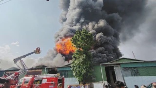 Image from: 15 Haiwan Unik Yang Mendiami Lautan Atlantik, Ada Yang Boleh Menyelam Lebih 1,000 Meter