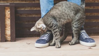 Image from: Selalu Mabuk Bas? Ini 10 Tip Mudah Boleh Cuba Sebelum Memulakan Perjalanan