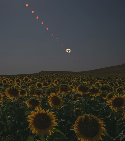 Image from: Gerhana Matahari Jadi ‘Kunci’ Buktikan Teori Einstein, Ini Kisah Eksperimen Eddington