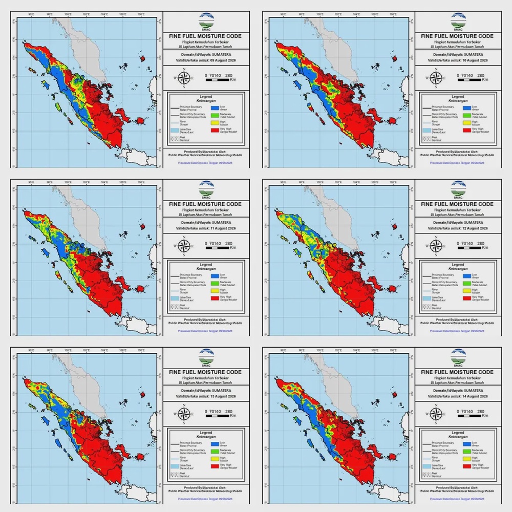 Image from: Api Terus Merebak, Kawasan Tanah Gambut Di Sumatera Makin Terbakar
