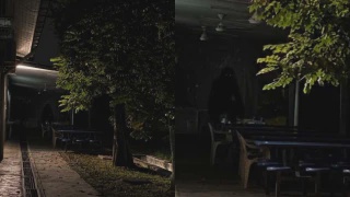 Image from: Niat Nak Tangkap Gambar Bulan, Individu ‘Tersnap’ Sosok Putih Yang Memerhati