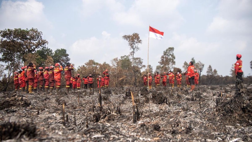 Image from: “Menarik Sekali,” Prabowo Arah Uji Serbuk Pemadam Kebakaran Berasaskan Tepung Ubi Kayu