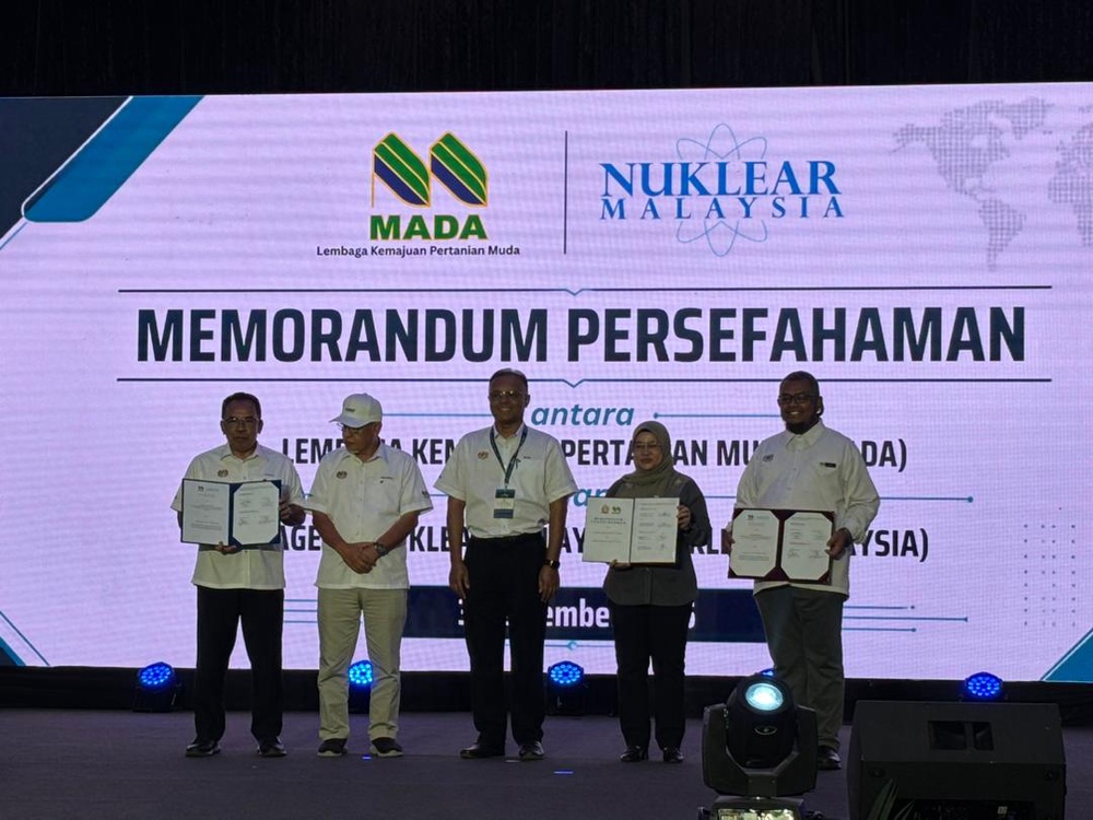 Nuklear mada