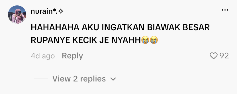 Image from: “Macam Ni Pun Takut”, Panik Biawak Masuk Rumah, Bomba Datang Pegang Sebelah Tangan Je