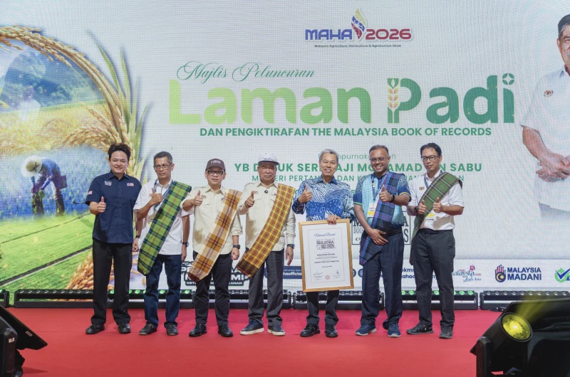 seni padi 