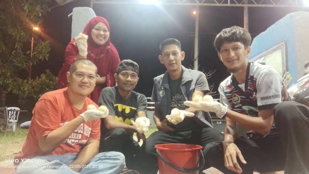 Image from: Penyu Belimbing Bertelur Lagi Di Pantai Terengganu, 70 Biji Telur Ditemui