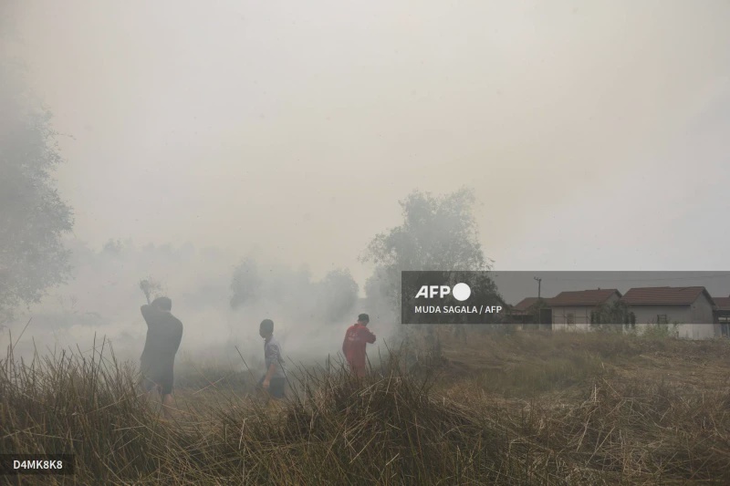 Image from: 3,560 Kematian Dianggarkan Berpunca Daripada Pencemaran Udara Akibat Kebakaran Hutan Di Indonesia