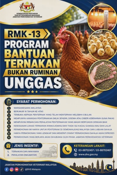 Image from: Bantuan Ternakan Unggas 2027 Dibuka, Ini Syarat & Cara Mohon