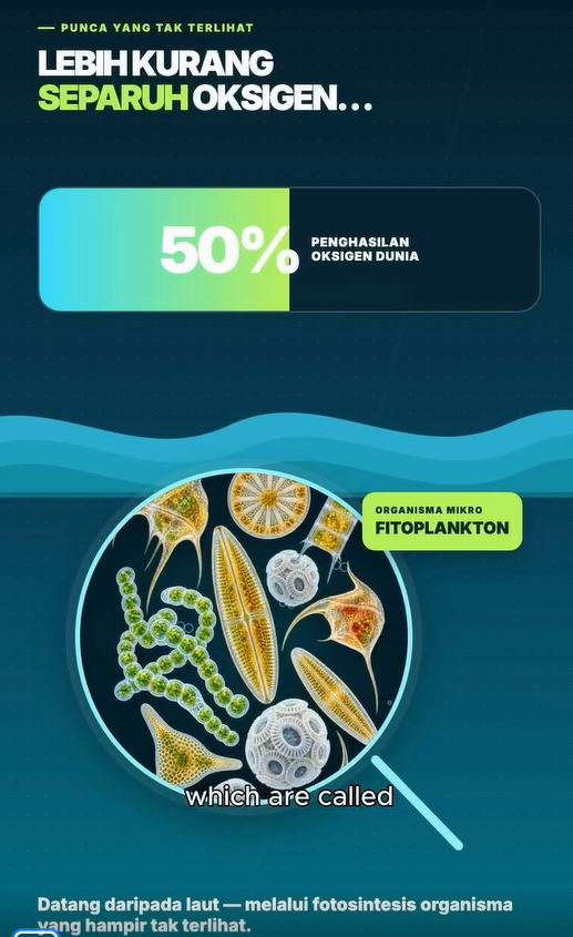 Image from: “Oksigen Malaysia Datang Dari Indonesia Ke?” Penjelasan Ini Buat Ramai Baru Tahu Peranan Laut