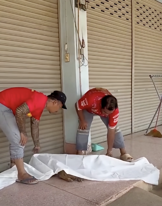 Image from: Kena "Prank", Anggota Penyelamat Terkejut Anjing Disangka Mati Tiba-Tiba Bangun Dalam Trak