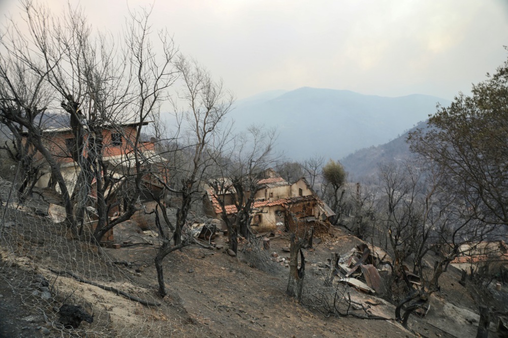 Image from: Algeria Lulus Undang-Undang Hukuman Mati Terhadap Pelaku Bakar Hutan