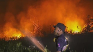Image from: Malaysia Sedia Bantu Indonesia Tangani Kebakaran Hutan - Ahmad Zahid