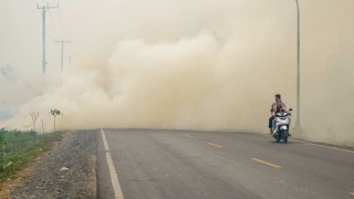 Image from: Indonesia Tidak Akan Isytihar Kebakaran Hutan Sebagai Bencana Nasional Buat Masa Ini