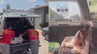 Image from: PM Anwar Gesa Kerajaan Persekutuan, Negeri Perkukuh Kerjasama Menerusi Waad Nasional
