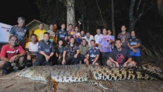 Image from: Wajah Tun M Sayu Ziarah Pusara Tun Dr Hasmah