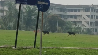 Image from: MINDEF Sasar Kutip Rm5 Juta Bagi Kempen Tabung Pahlawan 2026/2027