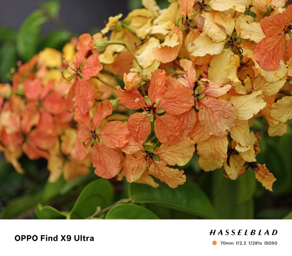 Image from: The Best Camera is the One You Have with You; The OPPO Find X9 Ultra Wants to be Your Only One