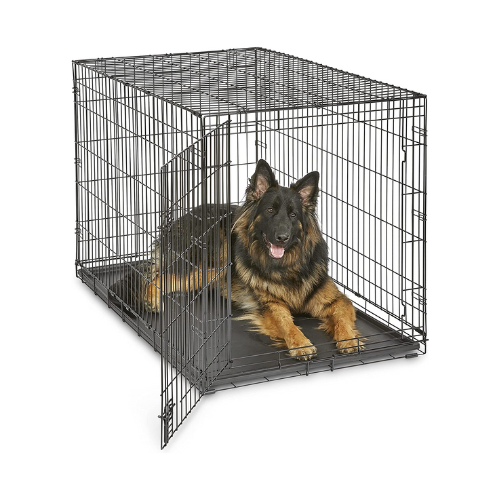 The Best Crates for Dogs of All Breeds and Sizes