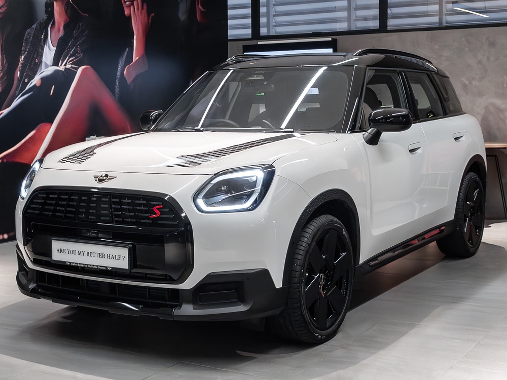 MINI-Shawdowline-1.jpg