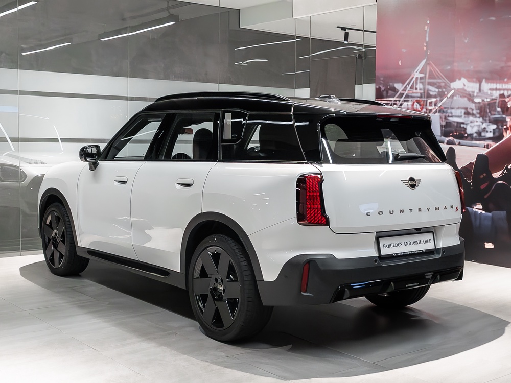 MINI-Shawdowline-2.jpg