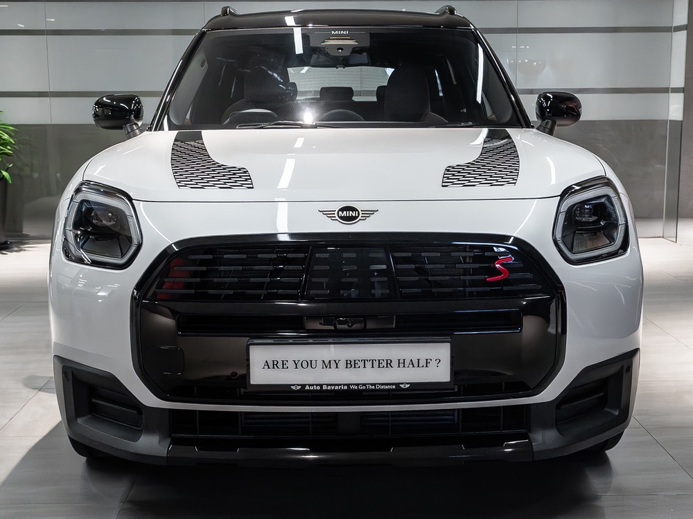 MINI-Shawdowline-3.jpg