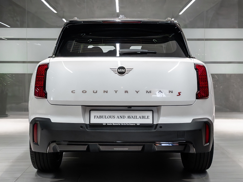 MINI-Shawdowline-4.jpg