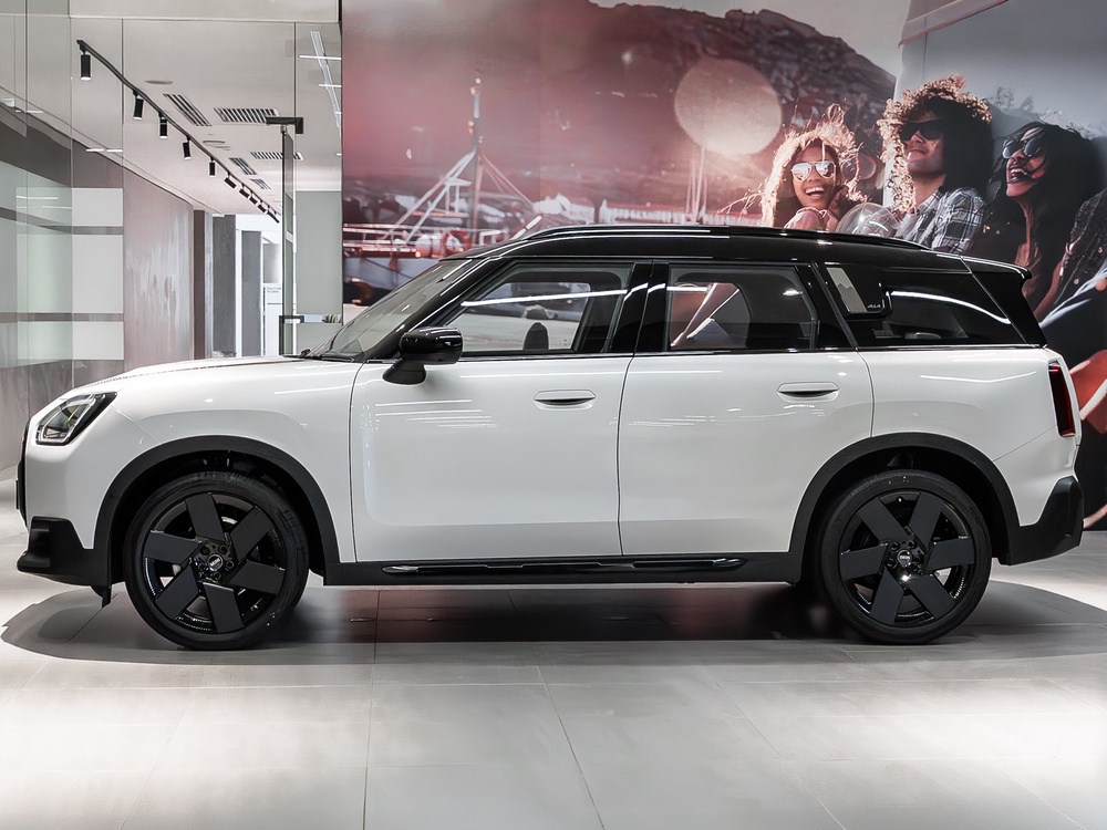 MINI-Shawdowline-5.jpg