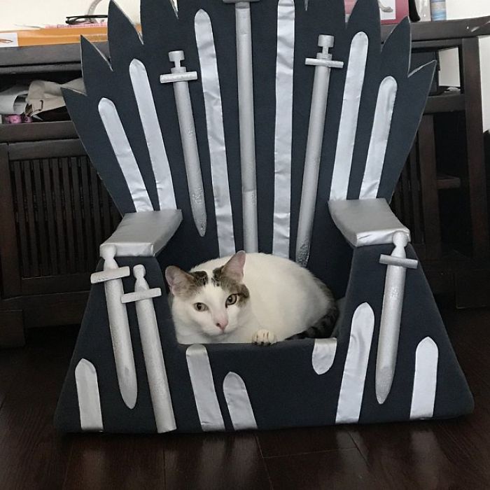 Handmade Game Of Thrones Beds For Pets Who Rule The Household handmade-game-of-thrones-beds-for-pets-who-rule-the-household