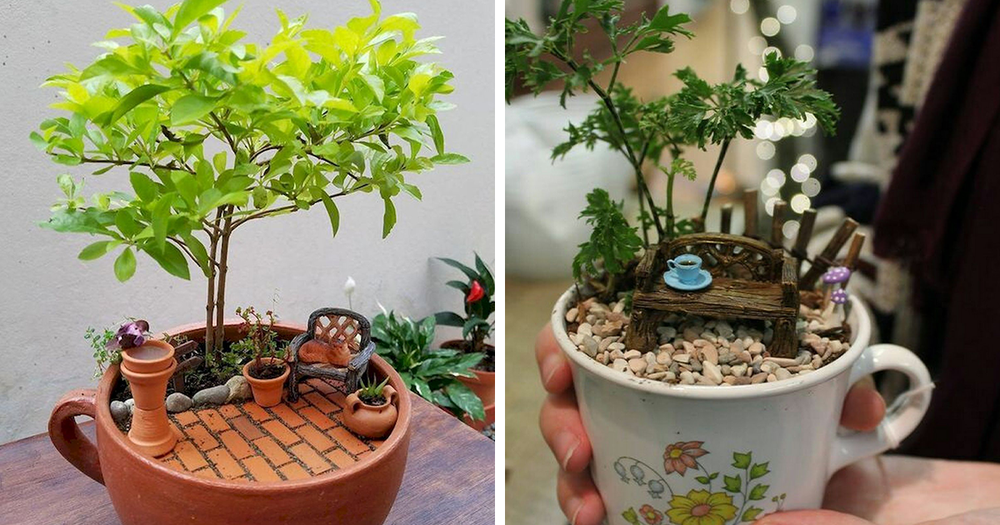 Apparently, Teacup Gardens Are A Thing And Here Are 23 Adorable Examples