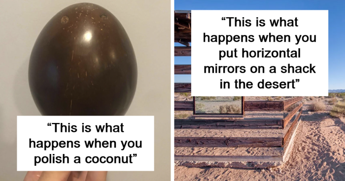 49 ‘Mildly Interesting’ Things That May Surprise You (Best Of All Time)