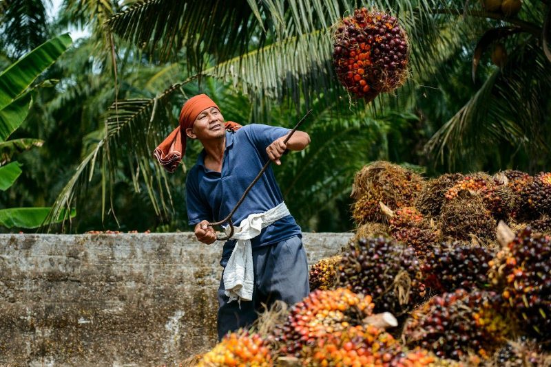 Image from: Malaysia’s Steady GDP Growth Signals A Resilient Economy