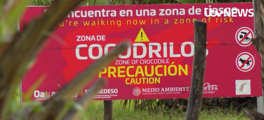 A crocodile warning sign on a Mexican beach. Local authorities are said to have increased surveillance of the area since the attack (ITV News)