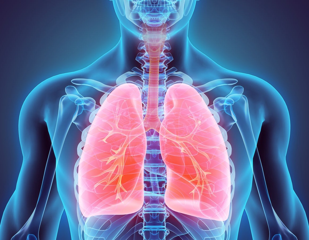 Air pollution is slowing the lung growth of children in the UK, a study has found (Getty Images/iStockphoto)