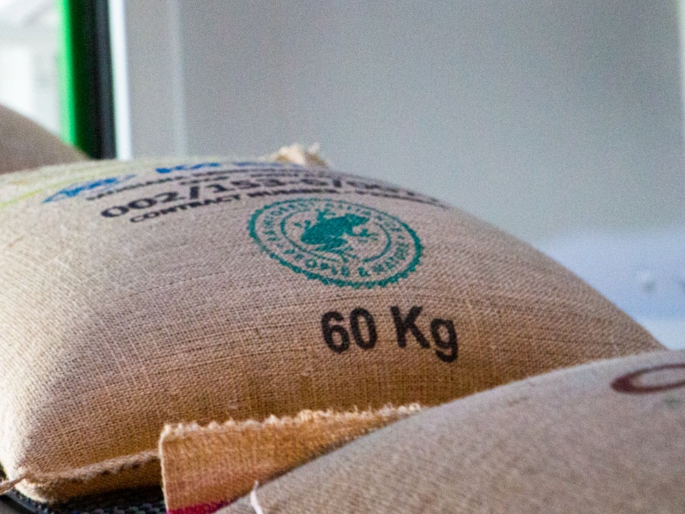 The Rainforest Alliance is best known for its ethical food labels featuring a green frog (Rainforest Alliance)