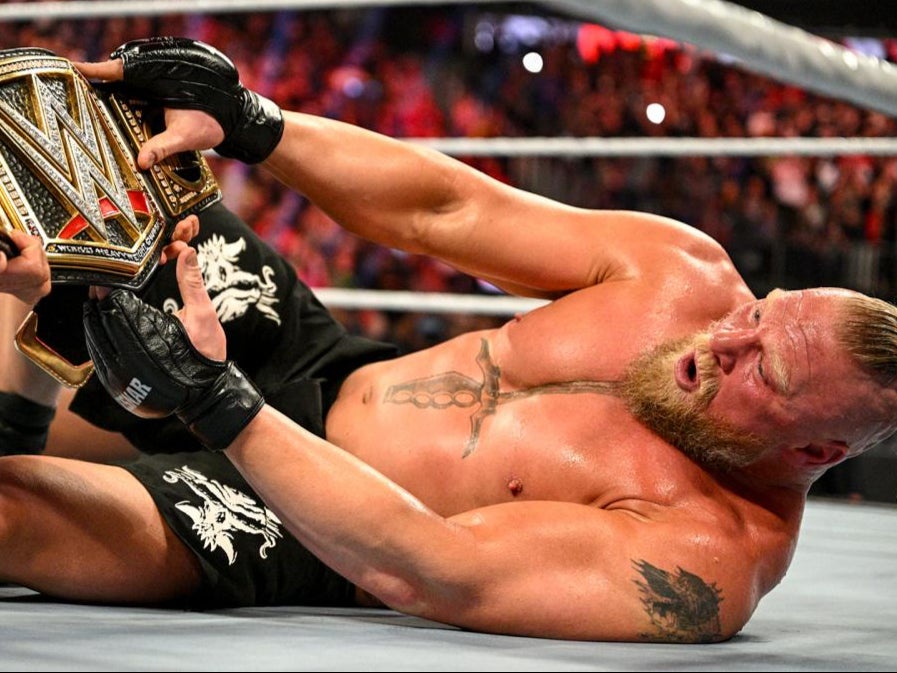 Brock Lesnar is not only an ex-WWE champion but a former UFC heavyweight champion (WWE)