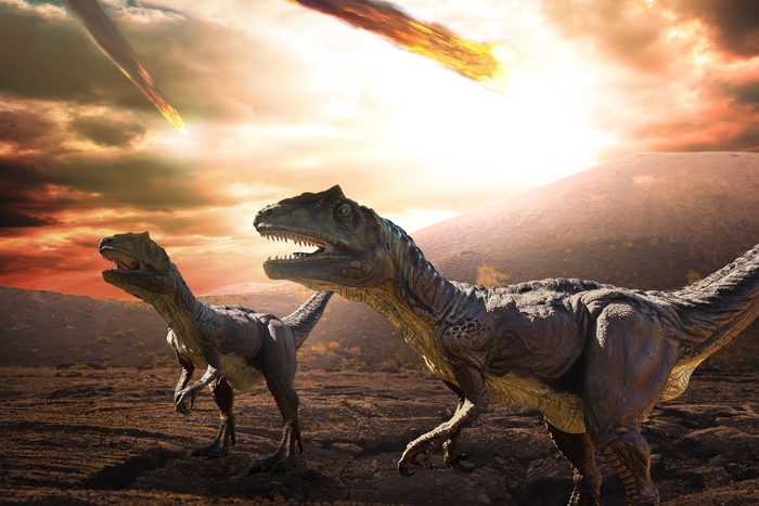 A team led by researchers at the University of Glasgow said the discovery could have implications for our understanding of how life formed on the early Earth, and help direct for the search for life on other planets (Florida Atlantic University/Getty Images)