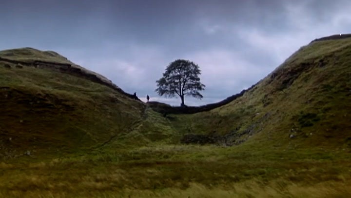 Sycamore Gap: 300-year-old tree stars in 90s classic Robin Hood movie ...