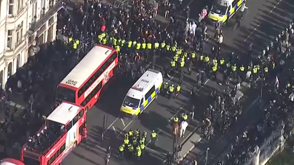 Watch: Aerials of huge pro-Palestine march in London on Remembrance Day